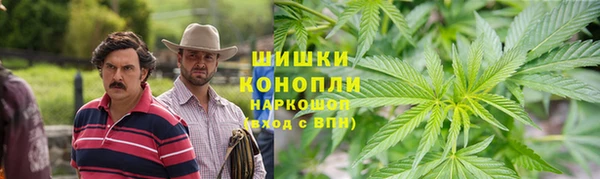 СК Белокуриха