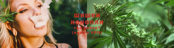 ГАЛЛЮЦИНОГЕННЫЕ ГРИБЫ Беломорск