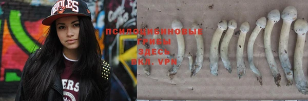 СК Белокуриха