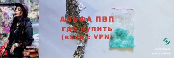 СК Белокуриха