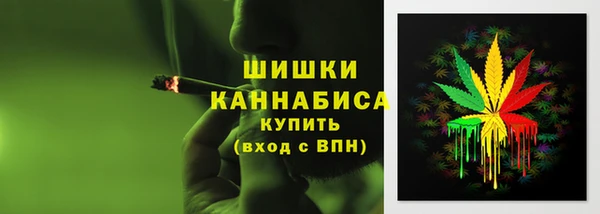СК Белокуриха