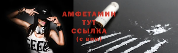 ГАЛЛЮЦИНОГЕННЫЕ ГРИБЫ Беломорск