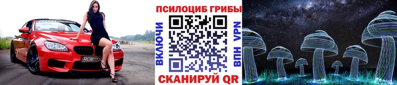 Галлюциногенные грибы MAGIC MUSHROOMS  KRAKEN зеркало  Гудермес 