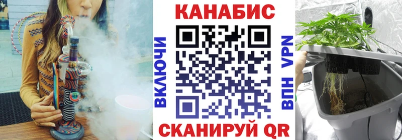 OMG   Гудермес  Канабис White Widow 